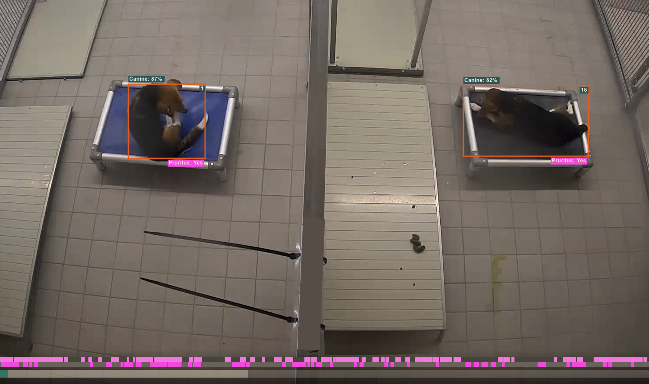 Real-time pruritus detection