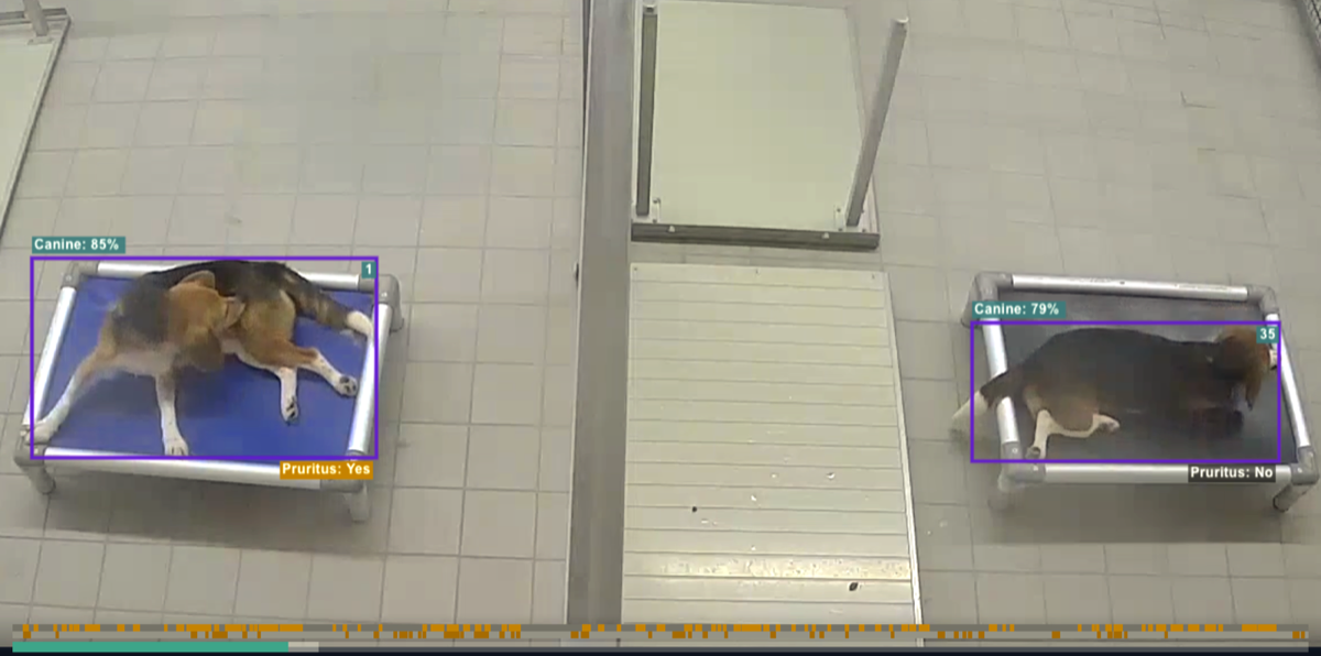 Real-time pruritus detection